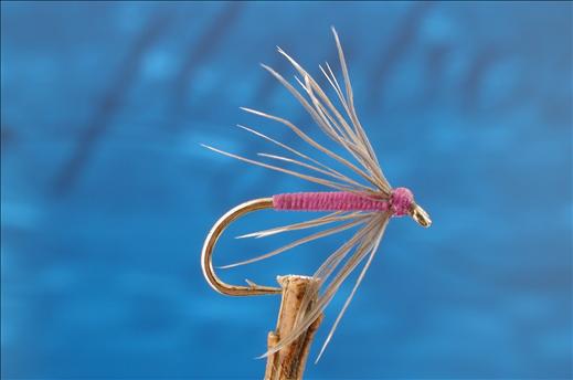 Snipe & Purple Fly - Fishing Flies with Fish4Flies Worldwide