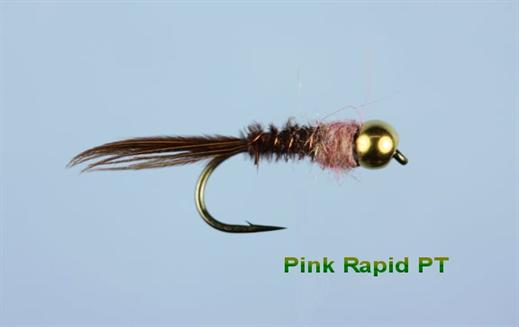 Pink tail trout