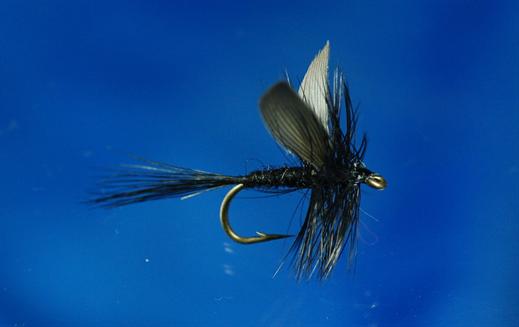 Black Gnat Mayfly Fly - Fishing Flies with Fish4Flies Worldwide