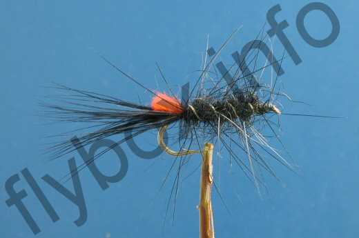 download black woolly worm