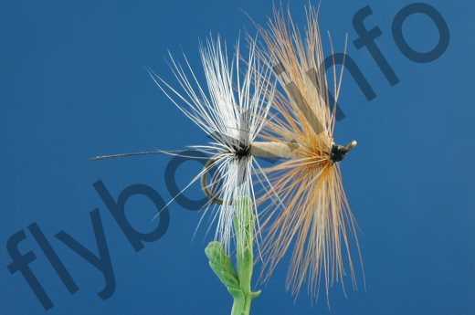 Fore And Aft Mayfly Fly - Fishing Flies with Fish4Flies Worldwide