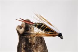 Which flies should I use in Sunny but Cold Conditions? - Fish4Flies