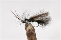 CDC CUL DE Canard Scruffy Black Sedge 14 Trout Fly Fishing