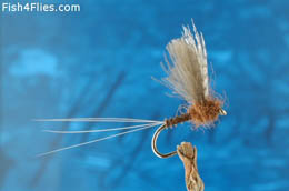The CDC Blood Midge - Fly Fishing, Gink and Gasoline, How to Fly Fish, Trout  Fishing, Fly Tying