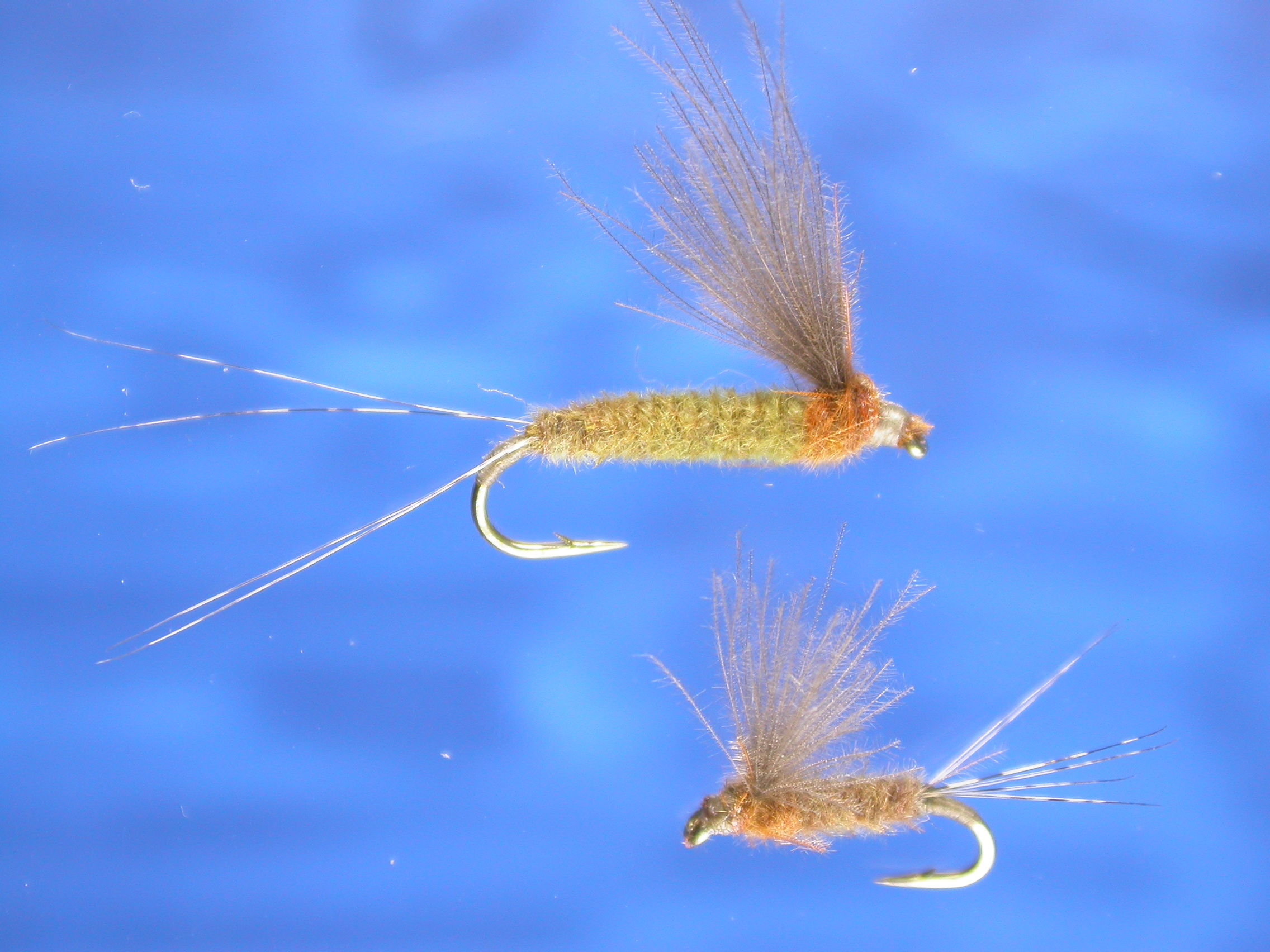 CDC Mayfly Fly - Fishing Flies With Fish4Flies Worldwide