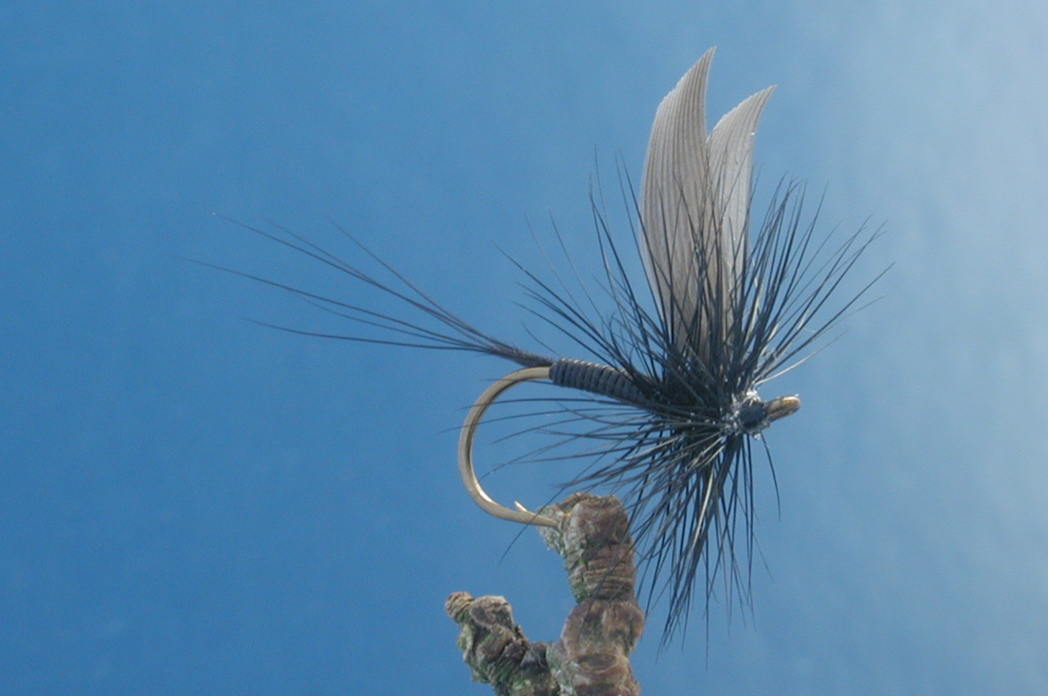 Black Quill Fly - Fishing Flies with Fish4Flies Worldwide