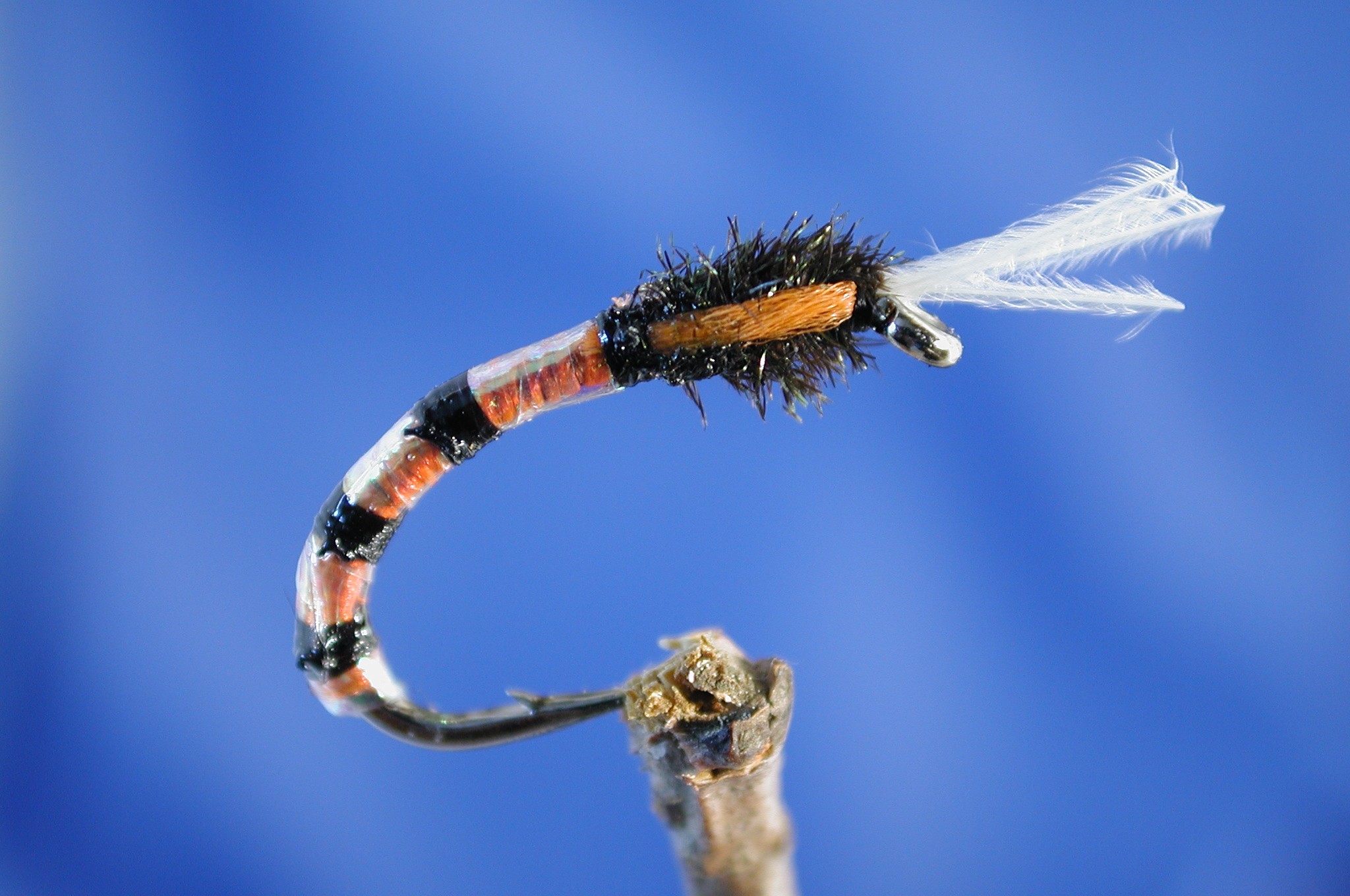 Morgan's Orange Buzzer Fly - Fishing Flies with Fish4Flies Worldwide