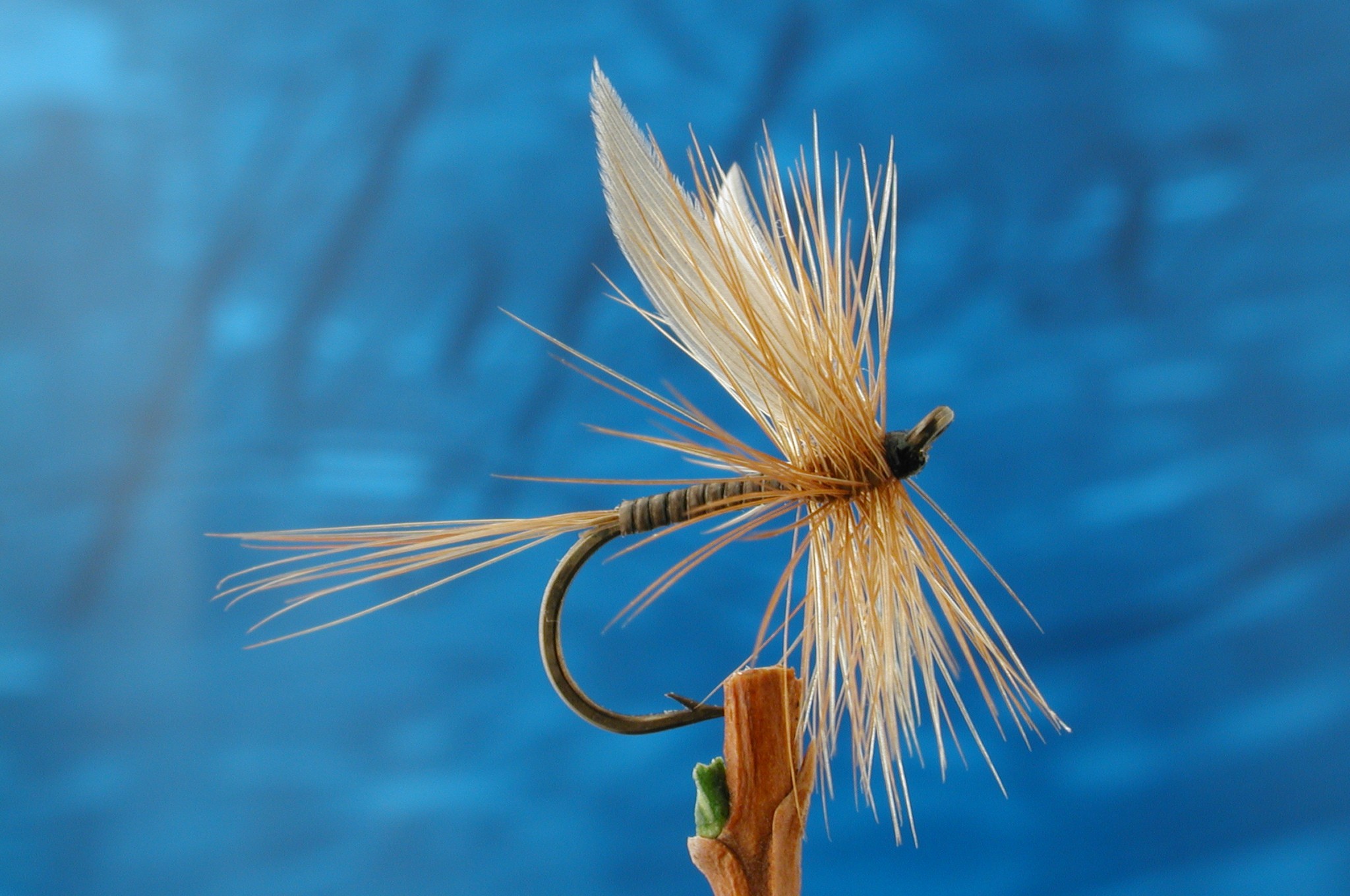 Shelvey Ginger Quill Fly - Fishing Flies with Fish4Flies Worldwide